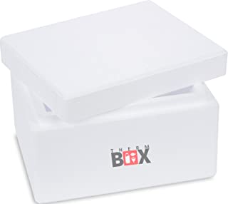 Profi Box S 31-0 x 25-0 x 18-5 cm- Pared: 3-0 cm- V = 5-93 L- poliestireno Caja blanco aislante Caja termica Caja nevera caliente caja Pequeno